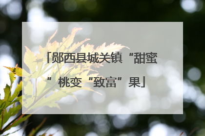 郧西县城关镇“甜蜜”桃变“致富”果