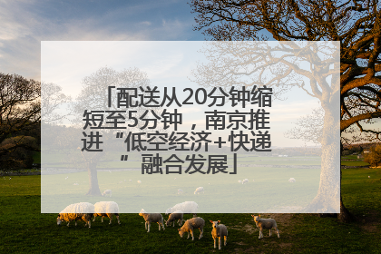 配送从20分钟缩短至5分钟，南京推进“低空经济+快递”融合发展