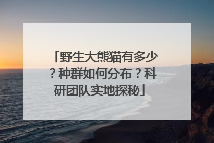 野生大熊猫有多少？种群如何分布？科研团队实地探秘