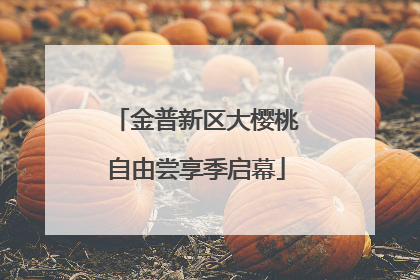 金普新区大樱桃自由尝享季启幕