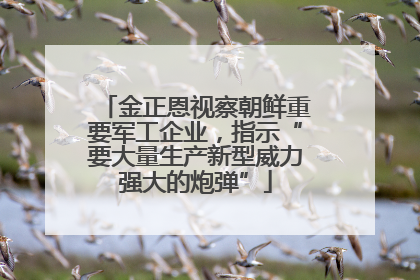 金正恩视察朝鲜重要军工企业，指示“要大量生产新型威力强大的炮弹”