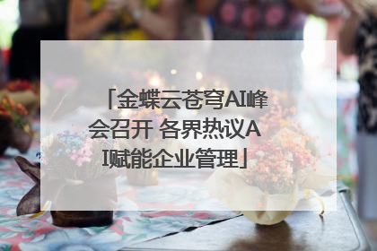 金蝶云苍穹AI峰会召开 各界热议AI赋能企业管理