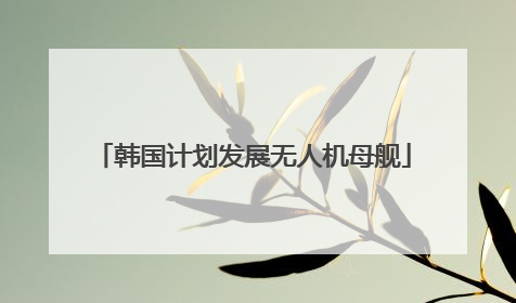 韩国计划发展无人机母舰
