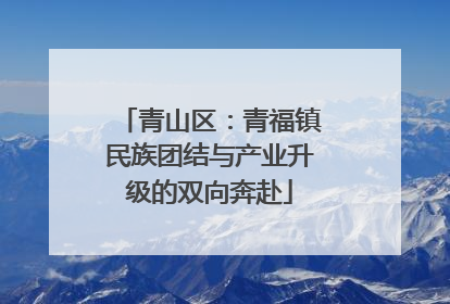 青山区：青福镇民族团结与产业升级的双向奔赴