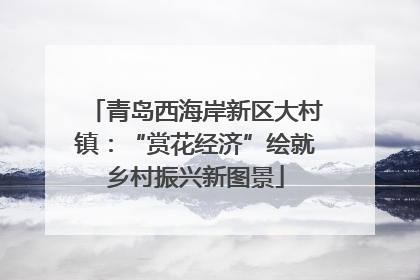 青岛西海岸新区大村镇：“赏花经济”绘就乡村振兴新图景
