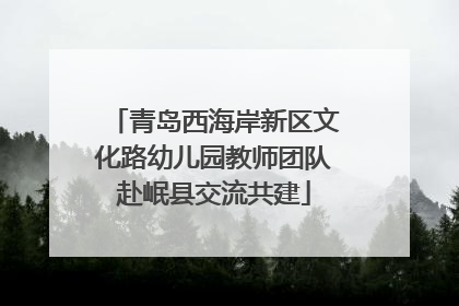 青岛西海岸新区文化路幼儿园教师团队赴岷县交流共建