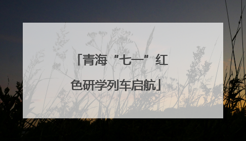 青海“七一”红色研学列车启航
