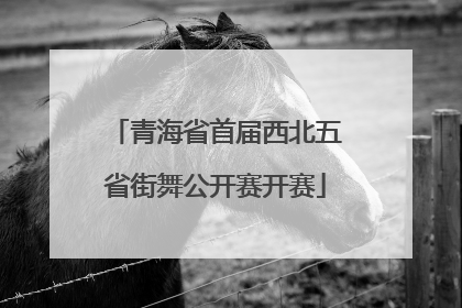 青海省首届西北五省街舞公开赛开赛