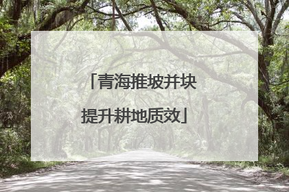 青海推坡并块提升耕地质效