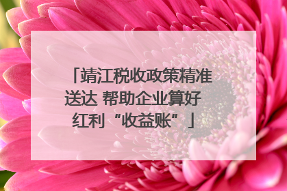 靖江税收政策精准送达 帮助企业算好红利“收益账”