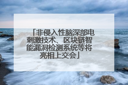 非侵入性脑深部电刺激技术、区块链智能漏洞检测系统等将亮相上交会