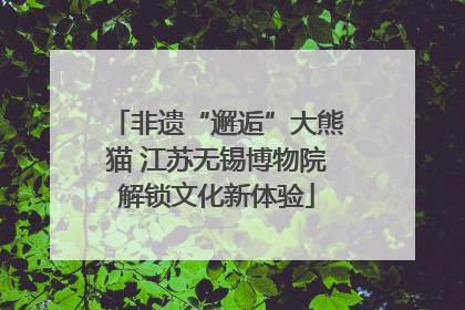非遗“邂逅”大熊猫 江苏无锡博物院解锁文化新体验