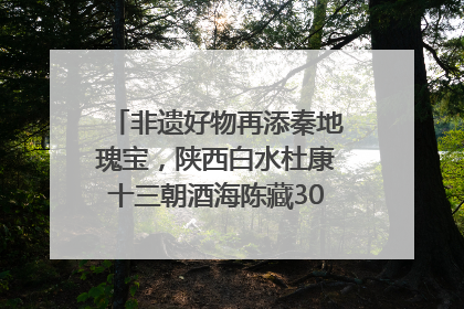 非遗好物再添秦地瑰宝，陕西白水杜康十三朝酒海陈藏30年别具一格