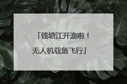 钱塘江开渔啦！无人机载鱼飞行