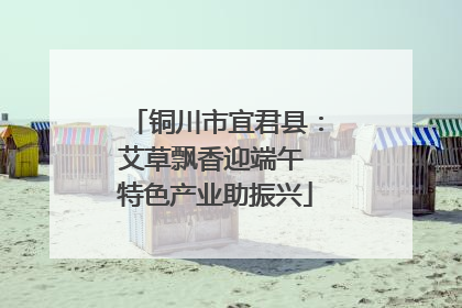 铜川市宜君县：艾草飘香迎端午 特色产业助振兴
