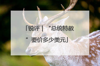 锐评｜“总统特赦”要价多少美元