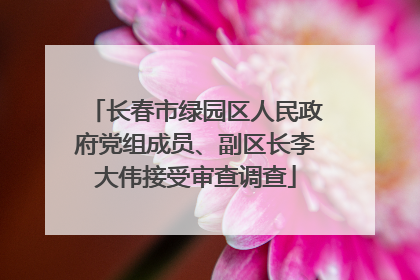 长春市绿园区人民政府党组成员、副区长李大伟接受审查调查