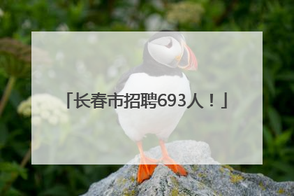长春市招聘693人！