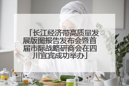 长江经济带高质量发展版图报告发布会暨首届市际战略研商会在四川宜宾成功举办