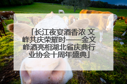 长江夜宴酒香浓 文峰共庆荣耀时——金文峰酒亮相湖北省庆典行业协会十周年盛典