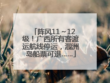 阵风11～12级！广西所有客渡运航线停运，涠洲岛船票可退……