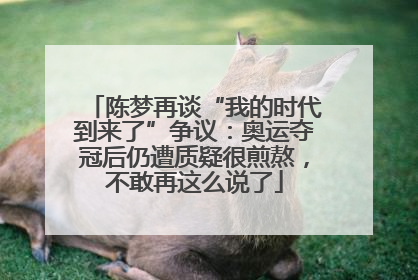 陈梦再谈“我的时代到来了”争议：奥运夺冠后仍遭质疑很煎熬，不敢再这么说了