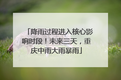 降雨过程进入核心影响时段！未来三天，重庆中雨大雨暴雨