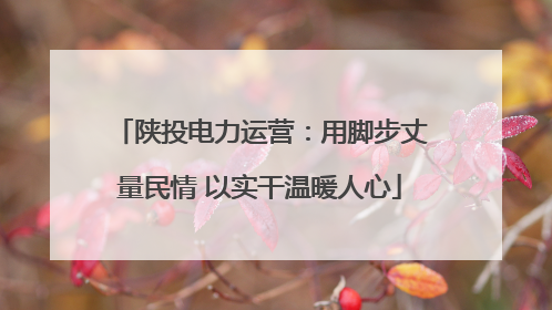 陕投电力运营：用脚步丈量民情 以实干温暖人心