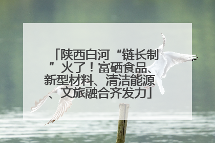 陕西白河“链长制”火了！富硒食品、新型材料、清洁能源、文旅融合齐发力