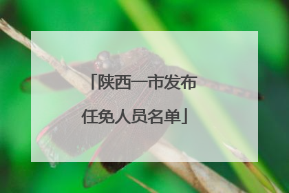 陕西一市发布任免人员名单