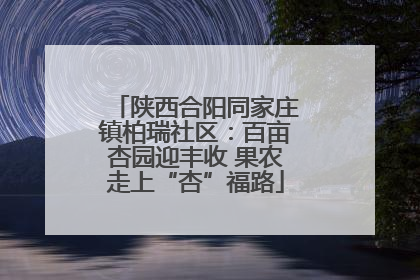 陕西合阳同家庄镇柏瑞社区：百亩杏园迎丰收 果农走上“杏”福路