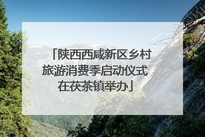陕西西咸新区乡村旅游消费季启动仪式在茯茶镇举办