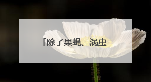 除了果蝇、涡虫 中国空间站还有哪些“动物航天员”
