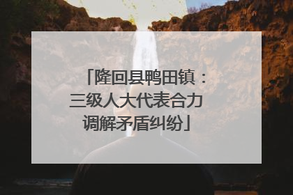 隆回县鸭田镇：三级人大代表合力调解矛盾纠纷