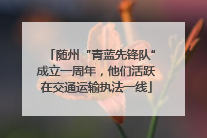 随州“青蓝先锋队”成立一周年，他们活跃在交通运输执法一线