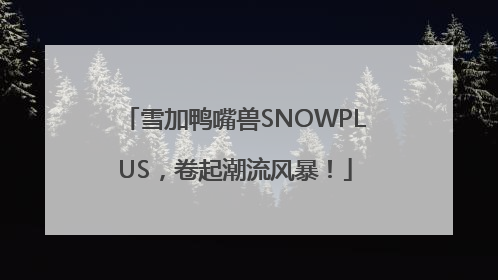 雪加鸭嘴兽SNOWPLUS，卷起潮流风暴！