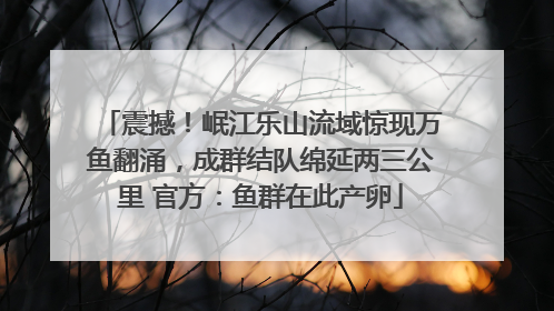 震撼！岷江乐山流域惊现万鱼翻涌，成群结队绵延两三公里 官方：鱼群在此产卵
