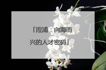 霞浦：向海而兴的人才密码
