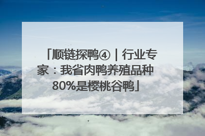 顺链探鸭④｜行业专家：我省肉鸭养殖品种80%是樱桃谷鸭