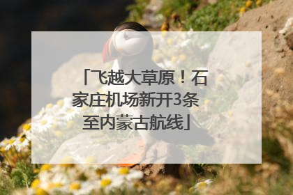 飞越大草原！石家庄机场新开3条至内蒙古航线