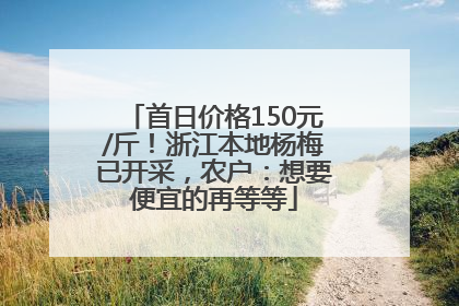 首日价格150元/斤！浙江本地杨梅已开采，农户：想要便宜的再等等