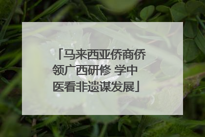 马来西亚侨商侨领广西研修 学中医看非遗谋发展