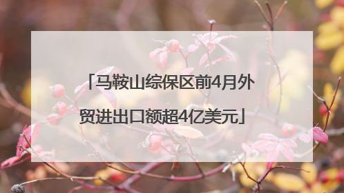 马鞍山综保区前4月外贸进出口额超4亿美元