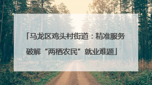 马龙区鸡头村街道：精准服务破解“两栖农民”就业难题