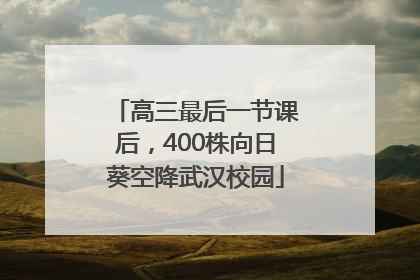 高三最后一节课后，400株向日葵空降武汉校园
