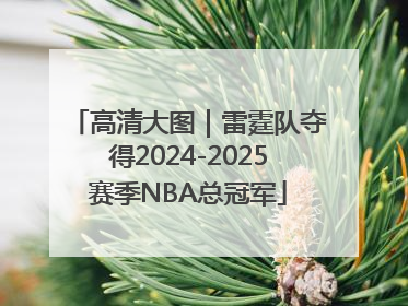 高清大图｜雷霆队夺得2024-2025赛季NBA总冠军