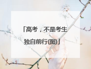 高考，不是考生独自前行(图)