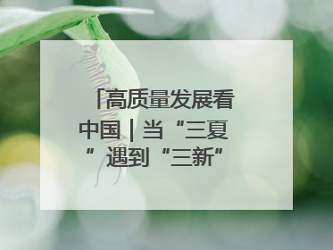 高质量发展看中国｜当“三夏”遇到“三新”：看南北田野里的科技共生记