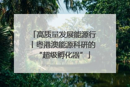 高质量发展能源行丨粤港澳能源科研的“超级孵化器”