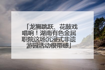 龙狮跳跃、花鼓戏唱响！湖南有色金属职院这场沉浸式非遗游园活动很带感